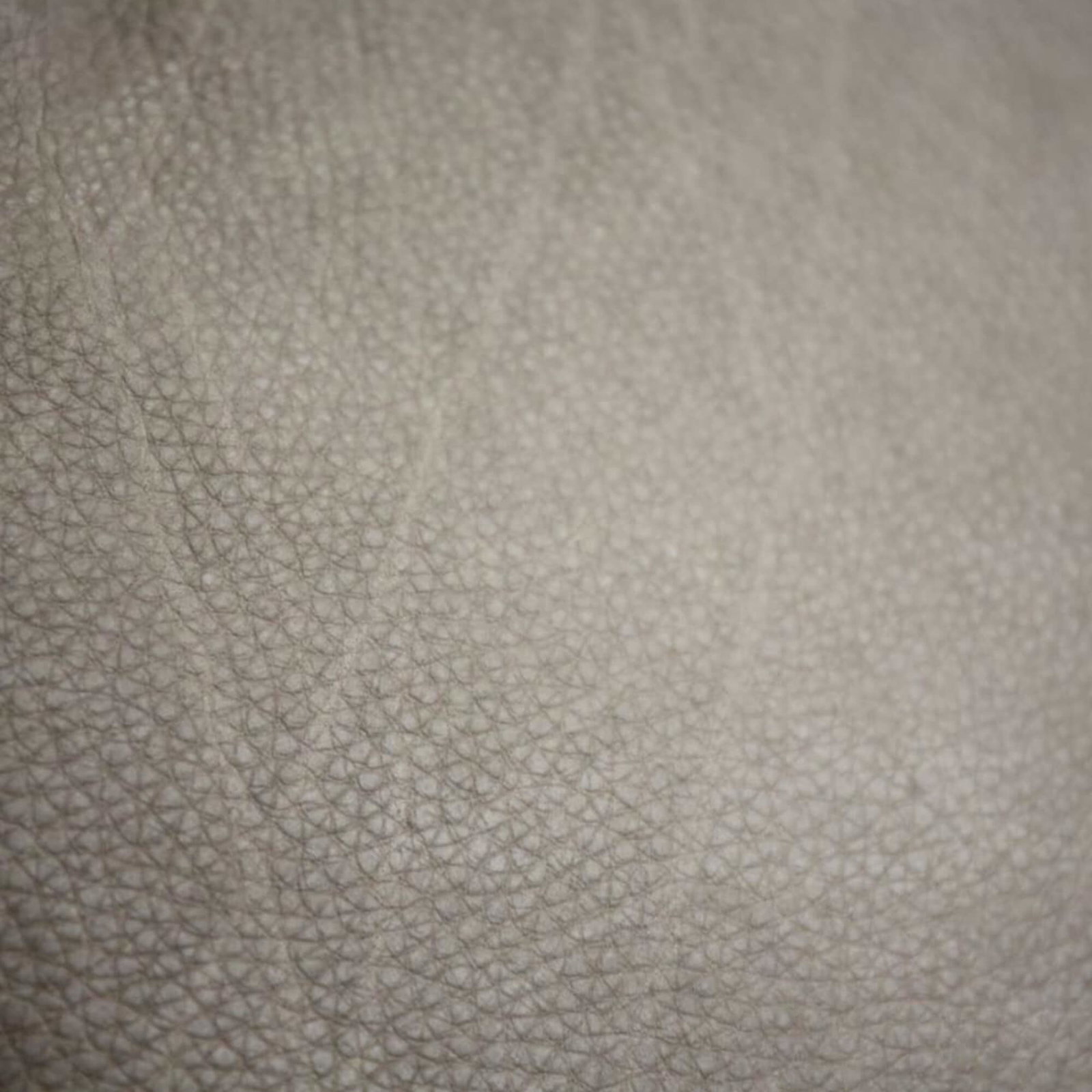 Koinor - Fauteuil Gizmo - Leder - Afbeelding 5